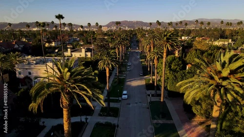 Cinematic aerial shot of iconic palm tree row in Beverly Hills, California