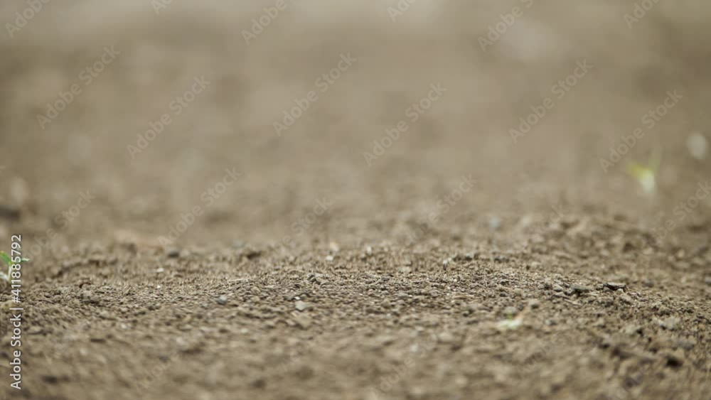 Radion controlled car racing by from left to right in slow motion Radion controlled car racing by from left to right in slow motion