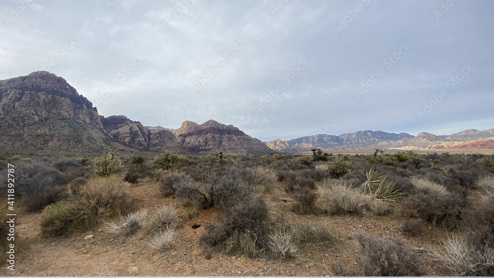 Fototapeta premium landscape with sky