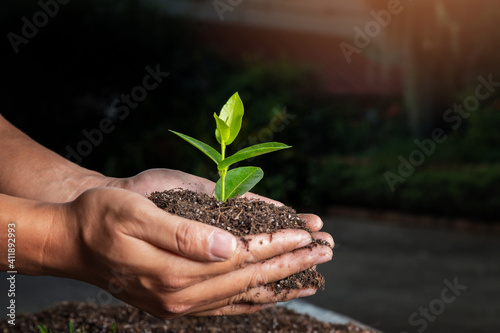 closeup hand of person holding abundance soil with young plant. Concept green world earth day
