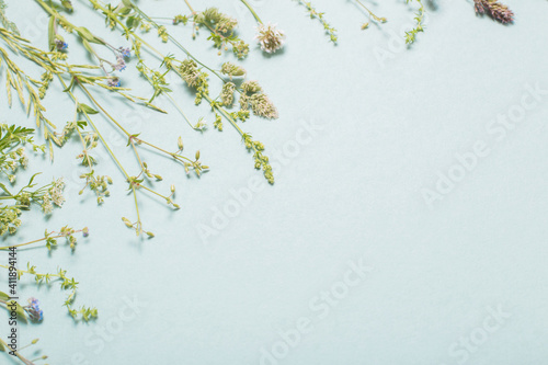different wild flowers on paper background