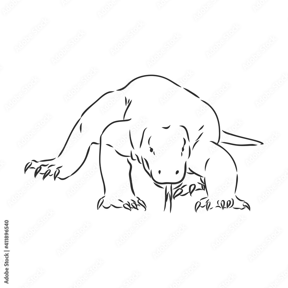 Fototapeta premium hand drawn, sketch illustration of Komodo dragon. varan vector sketch illustration