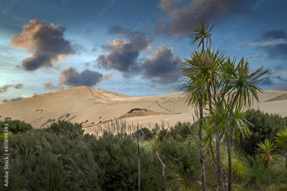 Ninety Mile Beach New Zealand. The giant sanddunes. Desert. Northland. Palmtrees.