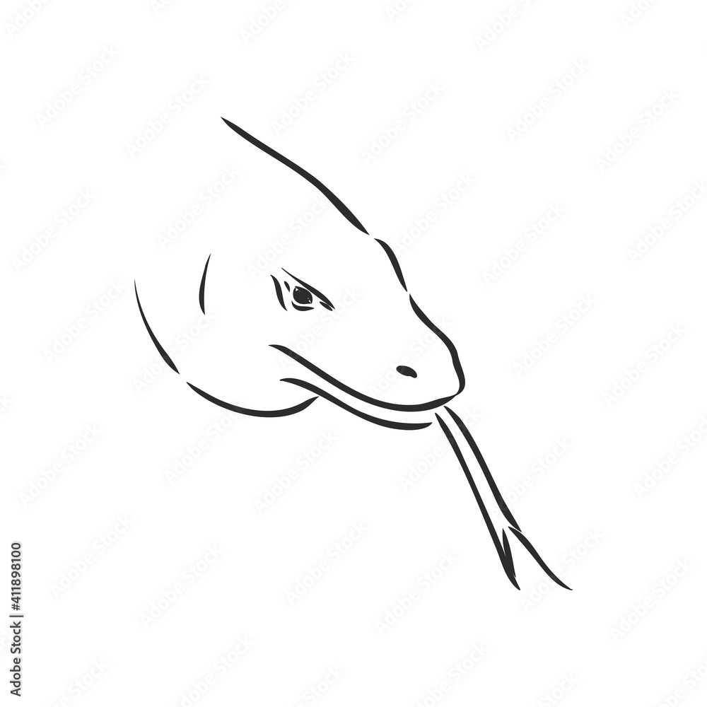 hand drawn, sketch illustration of Komodo dragon. varan vector sketch illustration hand drawn, sketch illustration of Komodo dragon. varan vector sketch illustration