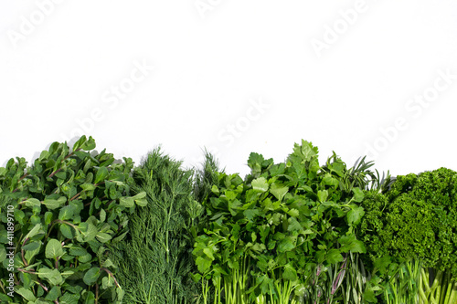 Greens and herbs food on the white background place for text healthy eating vegetarian