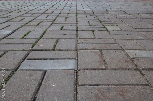 A rectangular tile with grass growing between it.