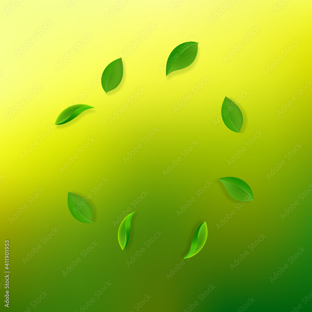 Falling green leaves. Fresh tea neat leaves flying Falling green leaves. Fresh tea neat leaves flying