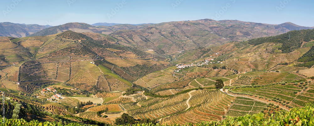 Amazing views of Douro vineyards from Valença do Douro, Portugal