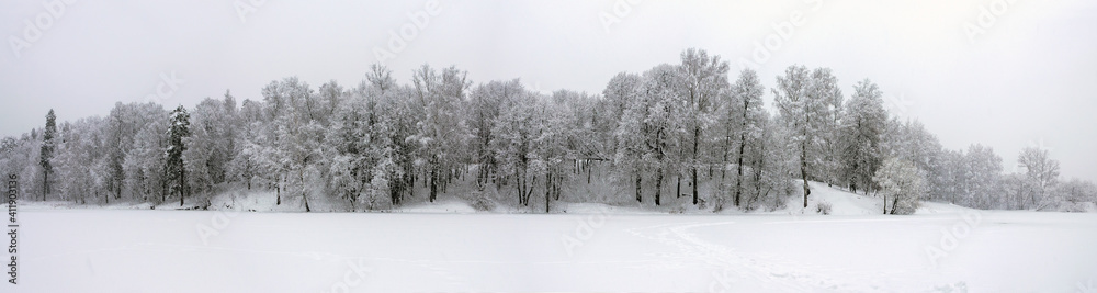 Serene winter scene with snow covered trees in the park during heavy snowfall.Cloudy wintertime landscape. Serene winter scene with snow covered trees in the park during heavy snowfall.Cloudy wintertime landscape.