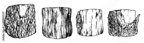 vector set of stumps in the sketch style .Black outline isolated wood elements hand drawn cross sawn tree trunk with bark texture on white background for your design template