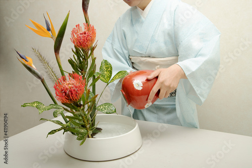 Japanese woman who does flower arrangement (Ikebana)