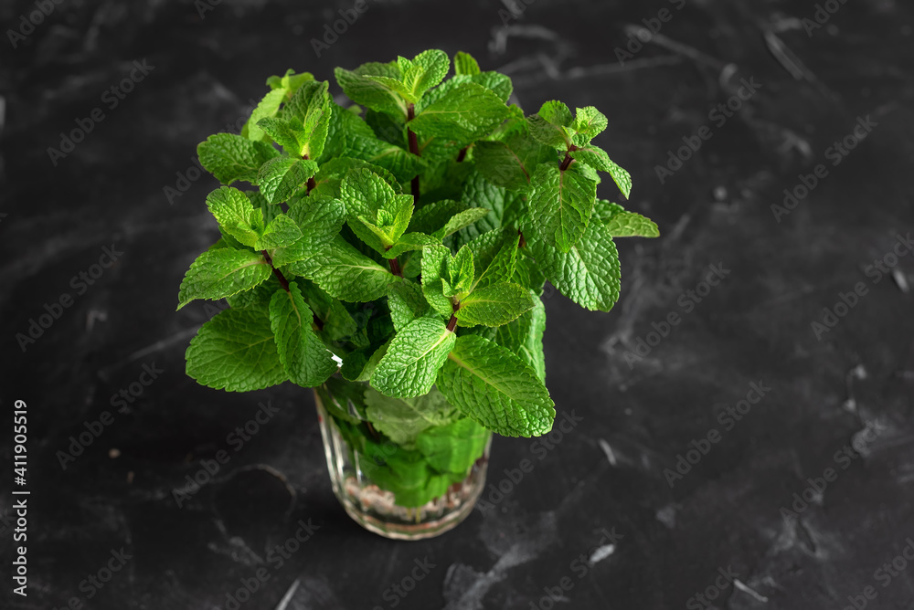 Fresh bunch of mint in a glass on a black grunge background. Selective focus. Mint leaves. Fresh bunch of mint in a glass on a black grunge background. Selective focus. Mint leaves.