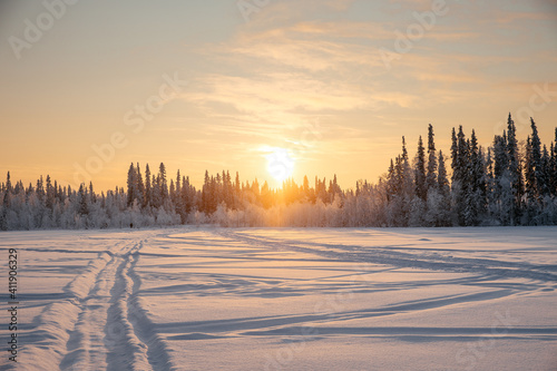 Close-up.Frozen grass covered with snow. Winter abstract background. Landscape. borscht in the open air © Кирилл Горшков