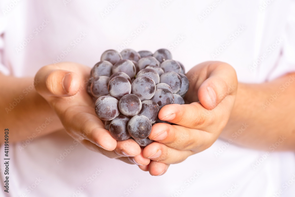 Hands of a child holding small grapes Hands of a child holding small grapes