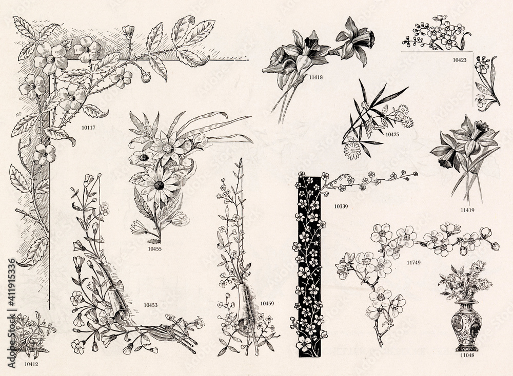 Obraz premium MISCELLANEOUS Selection of Vintage Design Elements - 1800s Antique Stock Artwork