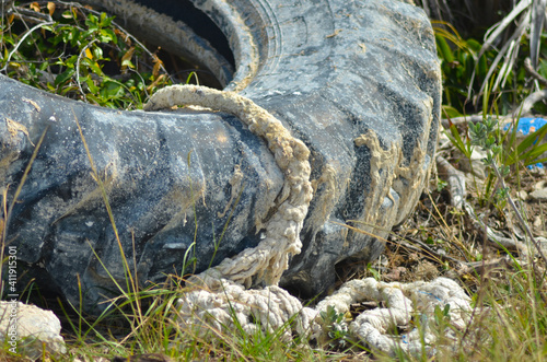 Old tire thrown up near beach  shore