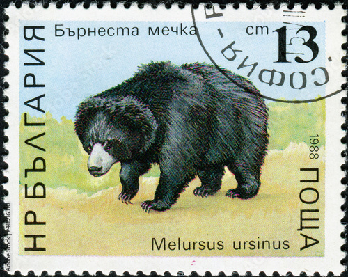 Valokuva BULGARIA - CIRCA 1988: A stamp printed in the Bulgaria, shows a black bear