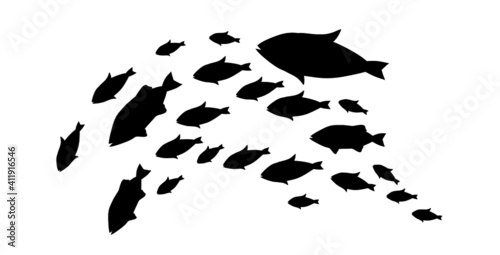 Silhouettes of groups of  fishes on white. Vector