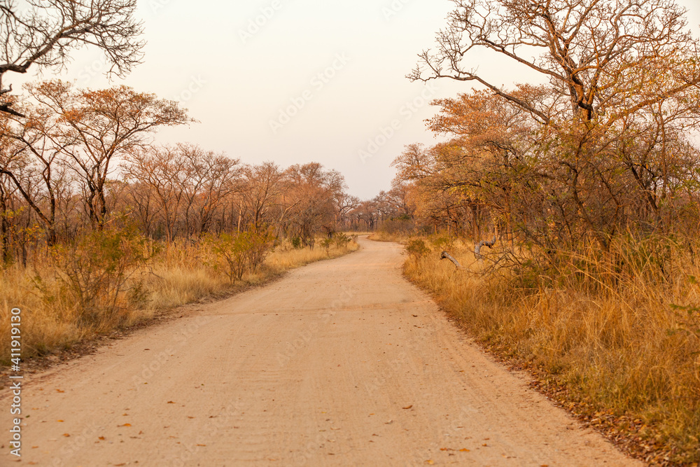 Φωτογραφία The dirt roads of the Krugetr park in the early morning sunrise.