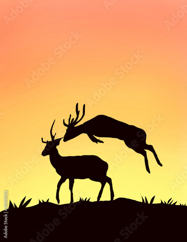 Beautiful Illustrated Silhouette Of  Set Of Two Deers  Playing On Beautiful Sunset .