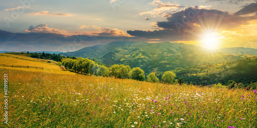 Photography rural landscape with blooming grassy meadow at sunset