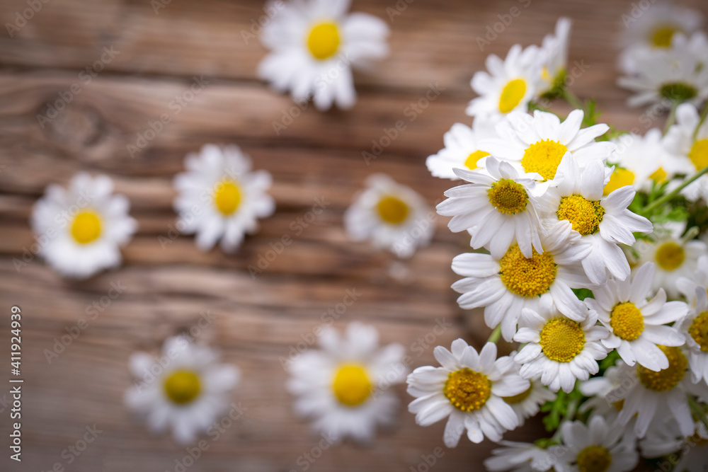 Fototapeta premium White daisies on a wooden background