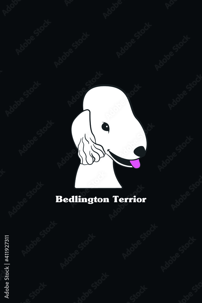 BEDLINGTON TERRIOR