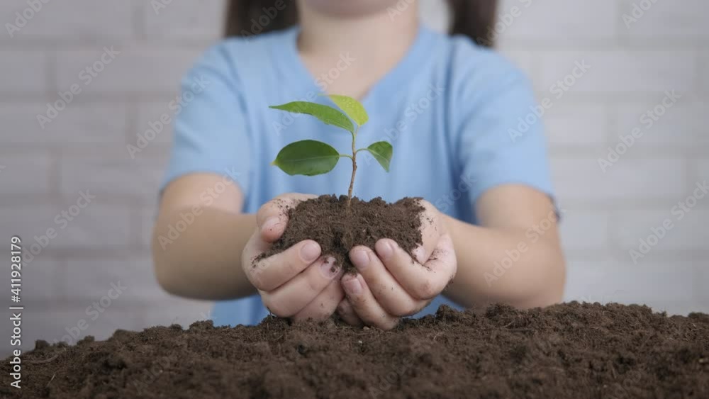 Child grow the plant. A child love the nature and hold a sprout with soil in her hands. Child grow the plant. A child love the nature and hold a sprout with soil in her hands.