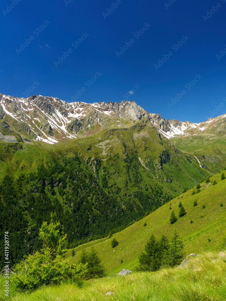 Fototapeta premium Passo Gavia, mountain pass in Lombardy, Italy, to Val Camonica at summer