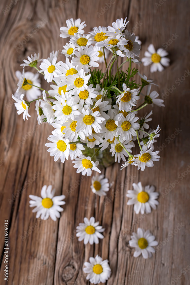 Fototapeta premium White daisies on a wooden background