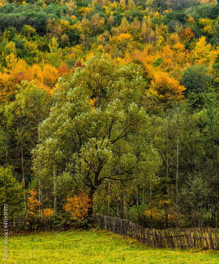 Naklejka premium Autumn Landscape