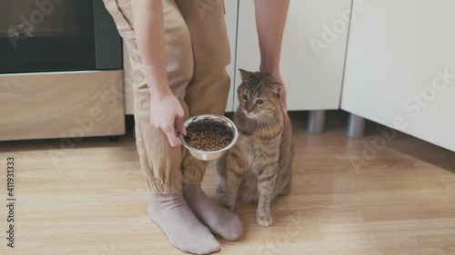 Cat refuses to eat. The pet doesn't want to eat. The owner of the animal brings the bowl to the muzzle. 
