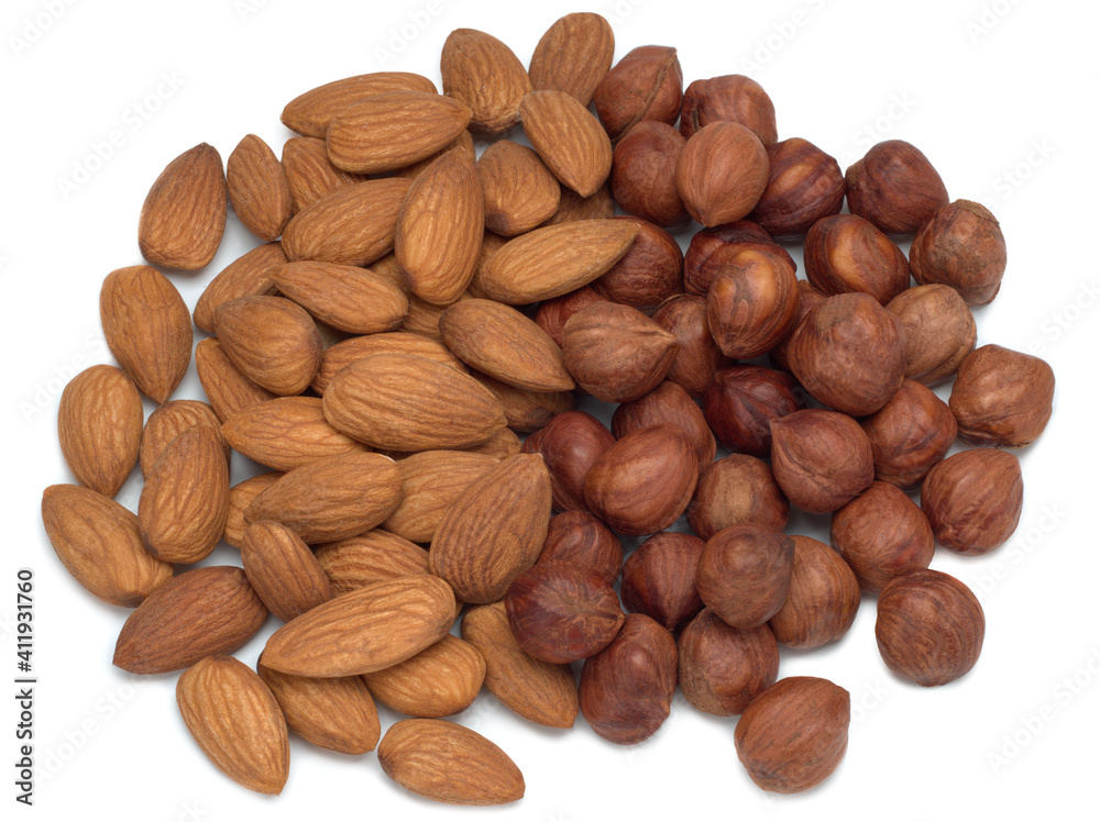 almonds and hazelnuts isolated on white background almonds and hazelnuts isolated on white background