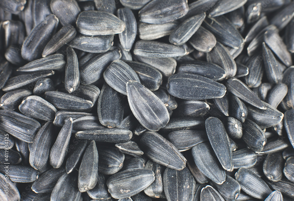 Fried black sunflowers seeds, close up. Fried black sunflowers seeds, close up.