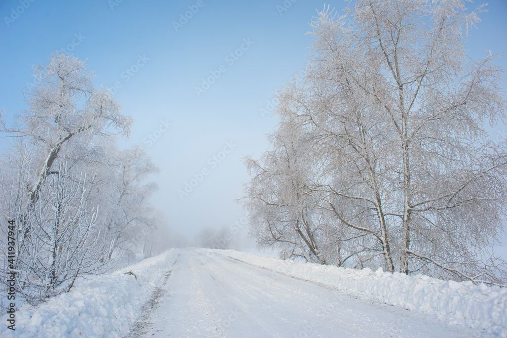 Beautiful trees in winter landscape in early morning in snowfall. Beautiful trees in winter landscape in early morning in snowfall.