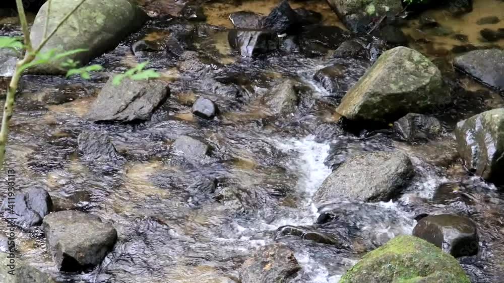 夏の岩屋堂公園 渓流のせせらぎ チルト 9sec 夏の岩屋堂公園 渓流のせせらぎ チルト 9sec