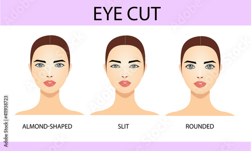 Eye cut, information for eyelash extension, infographics, vector illustration