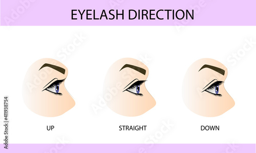 Eyelash growth types, up, down and straight, information for eyelash extension, infographics, vector illustration