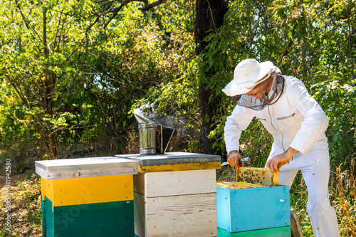 Worker at apiary. Beekeeper pulls off honey cell from hive. Three hives of different color at garden background. Apiculture concept.