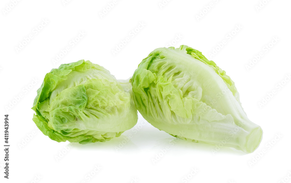 Fototapeta premium fresh baby cos (lettuce) on white background