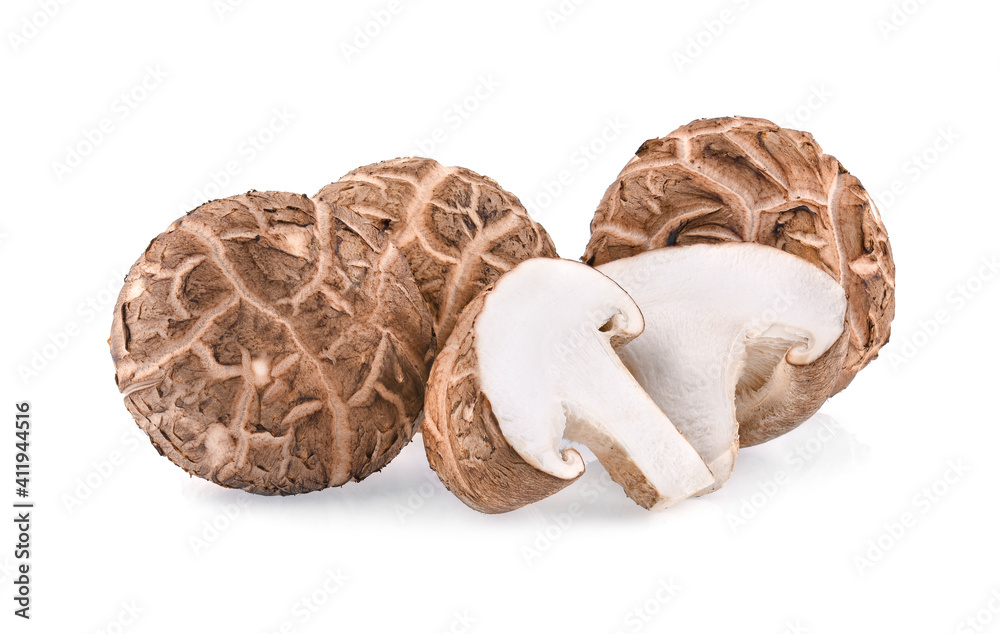 Shiitake Mushrooms isolated on white background Shiitake Mushrooms isolated on white background
