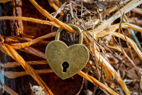 Heart shaped padlock. Valen...
