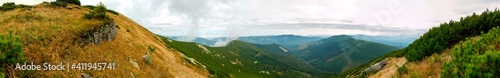 beautiful panorama with alpine pine and mountains under blue sky