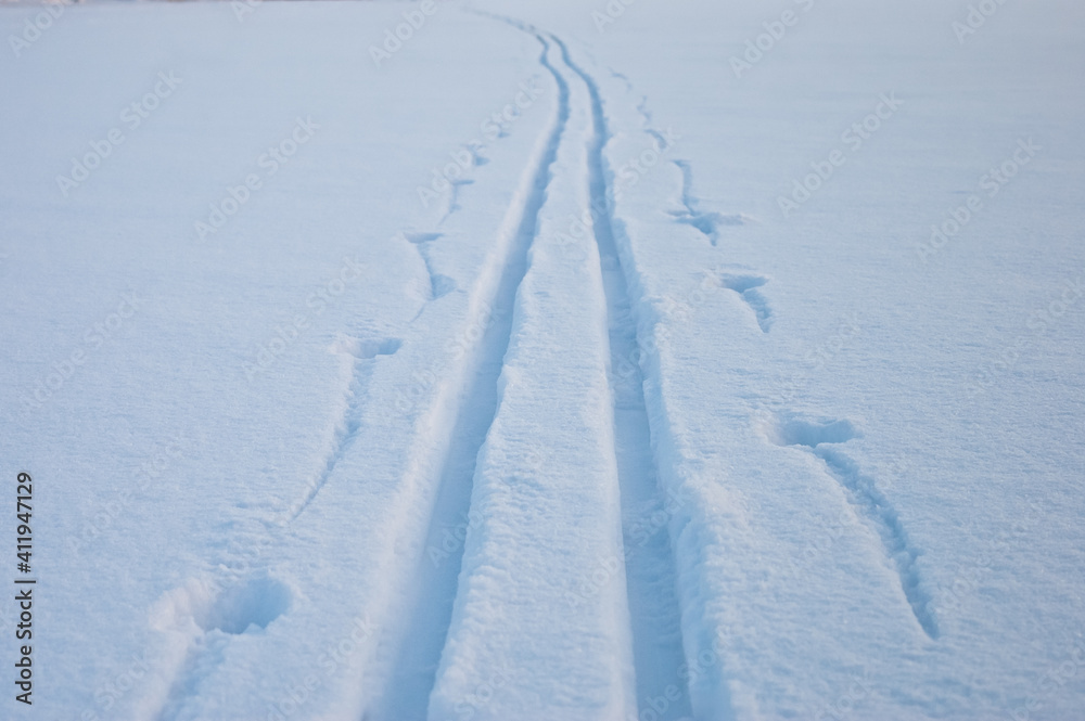 ski track in the snow. in the photo-a ski track on white snow, in a large snow-covered field, close-up