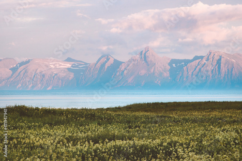 Fototapeta Naklejka Na Ścianę i Meble -  Landscape in Norway sunset mountains and fjord with flowers field travel beautiful destinations scandinavian nature scenery