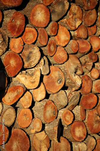 Oak firewood logs in a woodpile