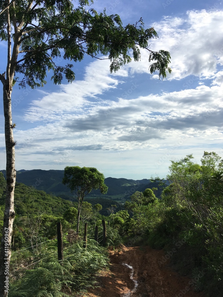 trail in the valley / Brazil, Santa Catarina