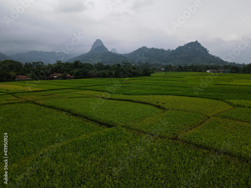 Aerial view of Rice fields on terraced of Cariu with noise cloud after rain, Bogor, Indonesia. Indonesia landscapes. 