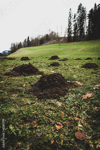 Erdhaufen in Nebelstimmung