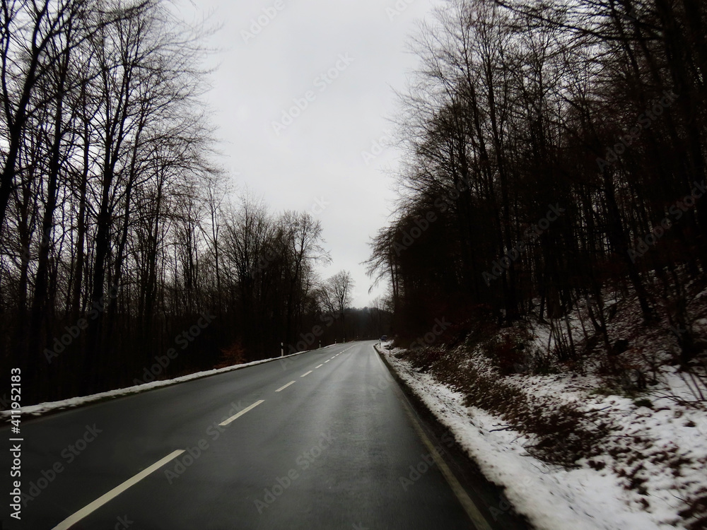 Winter landscape with tarmac road and frost covered shrubs and trees on both sides, misty day in Germany Winter landscape with tarmac road and frost covered shrubs and trees on both sides, misty day in Germany